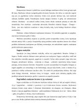 Ikebanos stilius 4 puslapis