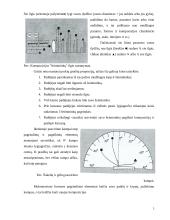 Ikebanos stilius 5 puslapis