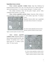 Ikebanos stilius 8 puslapis