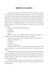 Įmonės apskaitos organizavimas 2 puslapis