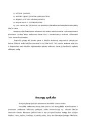 Įmonės apskaitos organizavimas 5 puslapis