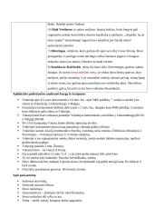 Erichas Marija Remarkas (konspektas) 2 puslapis