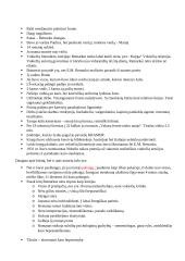 Erichas Marija Remarkas (konspektas) 3 puslapis