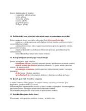 Įmonių ekonomika - kontrolinis darbas 5 puslapis