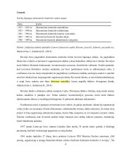 Finansinio audito raida Lietuvoje  10 puslapis