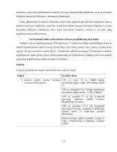 Finansinio audito raida Lietuvoje  11 puslapis