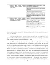 Finansinio audito raida Lietuvoje  13 puslapis