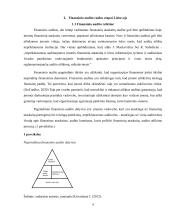 Finansinio audito raida Lietuvoje  3 puslapis