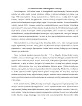 Finansinio audito raida Lietuvoje  5 puslapis