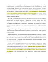 Finansinio audito raida Lietuvoje  6 puslapis