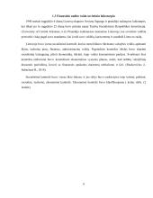 Finansinio audito raida Lietuvoje  8 puslapis