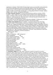 Įmonių ekonomika - teorija egzaminui 15 puslapis