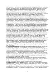 Įmonių ekonomika - teorija egzaminui 17 puslapis