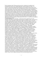 Įmonių ekonomika - teorija egzaminui 6 puslapis