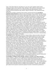 Įmonių ekonomika - teorija egzaminui 8 puslapis