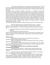 Infliacijos formos, priežastys, pasekmės bei prevencija 2 puslapis