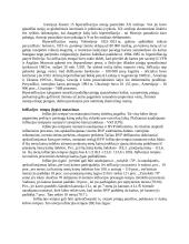 Infliacijos formos, priežastys, pasekmės bei prevencija 3 puslapis