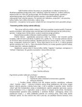 Infliacijos formos, priežastys, pasekmės bei prevencija 7 puslapis