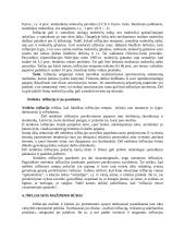 Infliacijos formos, priežastys, pasekmės bei prevencija 10 puslapis