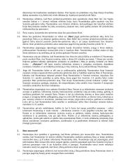 Buto nuomos sutartis (šablonas) 2 puslapis