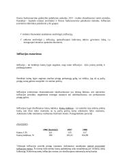 Infliacijos apibūdinimas 3 puslapis