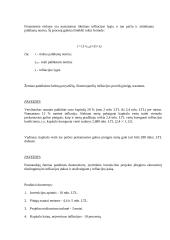 Infliacijos apibūdinimas 6 puslapis