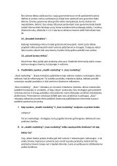 Filmo apie stealth marketing / buzz marketing analizė 2 puslapis