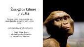 Žmogaus evoliucija (skaidrės) 3 puslapis