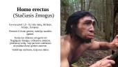 Žmogaus evoliucija (skaidrės) 5 puslapis