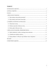 Teorijų, susijusių su infliacija, apžvalga