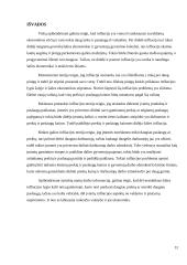 Teorijų, susijusių su infliacija, apžvalga 11 puslapis