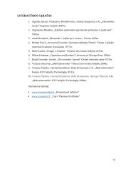 Teorijų, susijusių su infliacija, apžvalga 12 puslapis