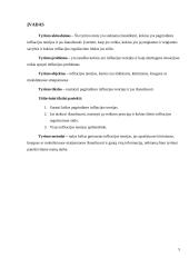 Teorijų, susijusių su infliacija, apžvalga 4 puslapis