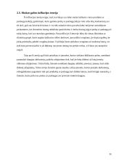 Teorijų, susijusių su infliacija, apžvalga 9 puslapis