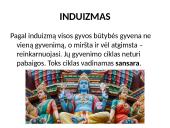 Induizmas (skaidrės) 3 puslapis