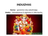 Induizmas (skaidrės) 9 puslapis