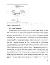 Organinių rūgščių ir gyvų mikroorganizmų raugų įtaka pusruginių kepinių kokybės ir saugos rodikliams  12 puslapis