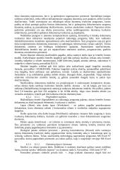 Išsami informatikos teorija 2 puslapis