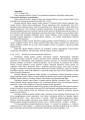 Išsami informatikos teorija 11 puslapis