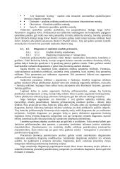 Išsami informatikos teorija 13 puslapis