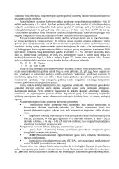 Išsami informatikos teorija 17 puslapis