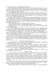 Išsami informatikos teorija 3 puslapis