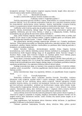 Išsami informatikos teorija 4 puslapis