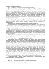 Išsami informatikos teorija 5 puslapis