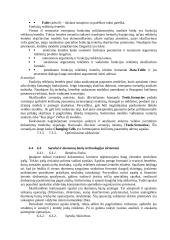 Išsami informatikos teorija 9 puslapis