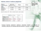 Europos valstybių statistiniai rodikliai 10 puslapis