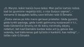 Istorinė ir kultūrinė XX a. vidurio situacija (Ona Šimaitė) 11 puslapis