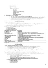 Informatikos samprata 3 puslapis