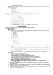 Informatikos samprata 4 puslapis