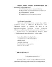 Medžiagos iš ausies mikrobiologinis tyrimas  13 puslapis